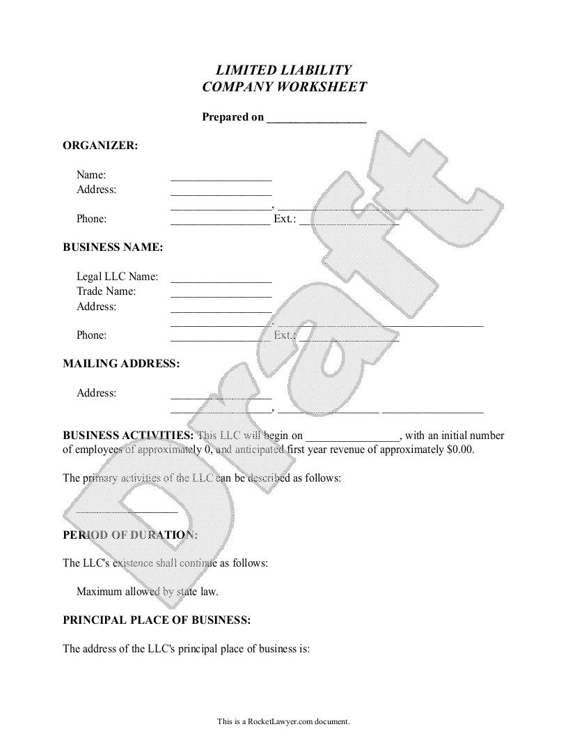 Sample Limited Liability Company Worksheet Template