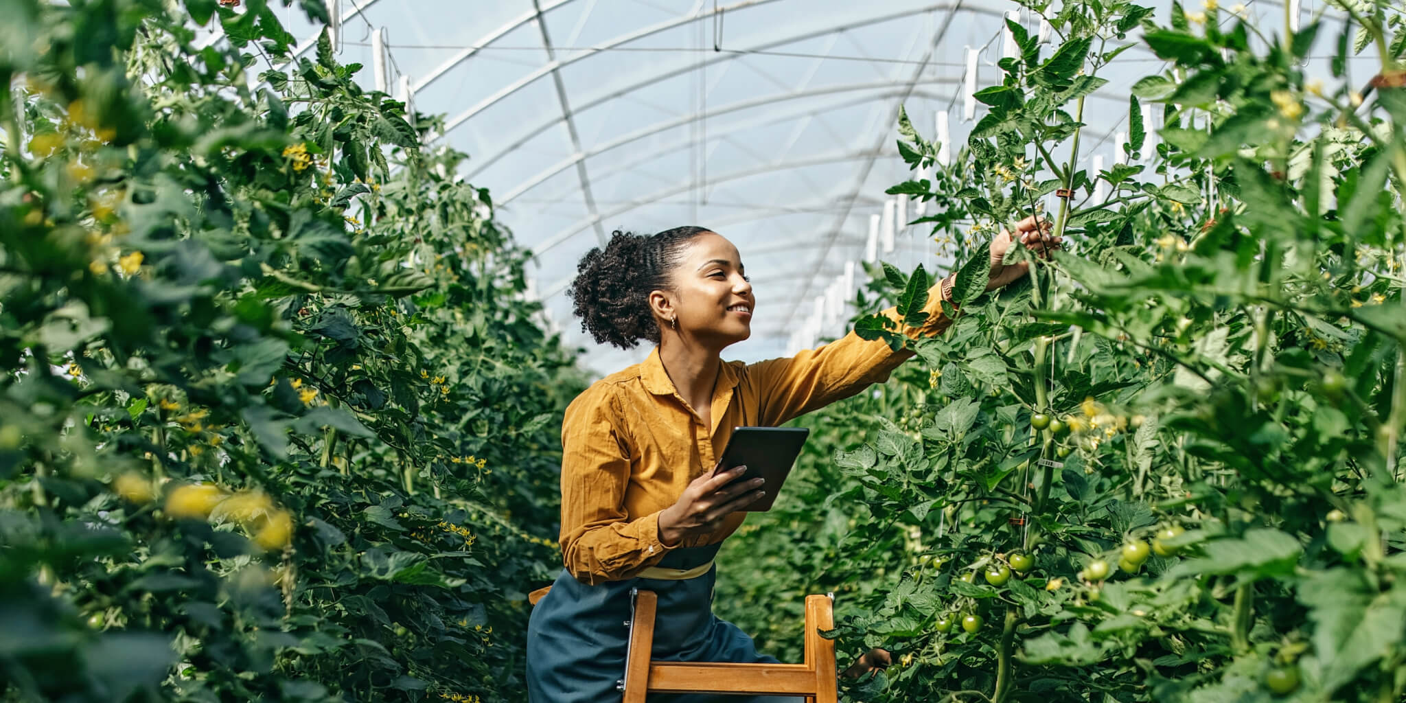 How To Start a Seasonal Business This Summer Rocket Lawyer