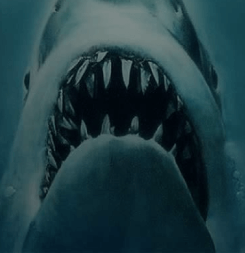 DON’T LET A CONTRACT COME BACK TO BITE YOU