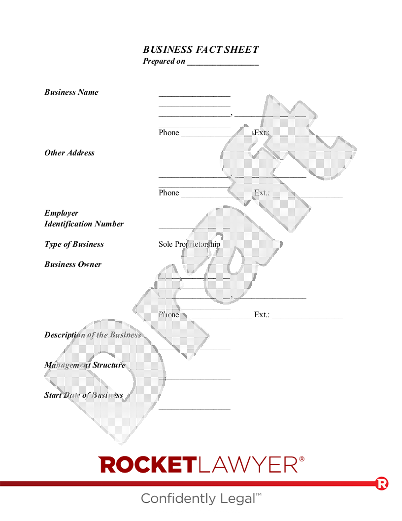 Business Fact Sheet document preview