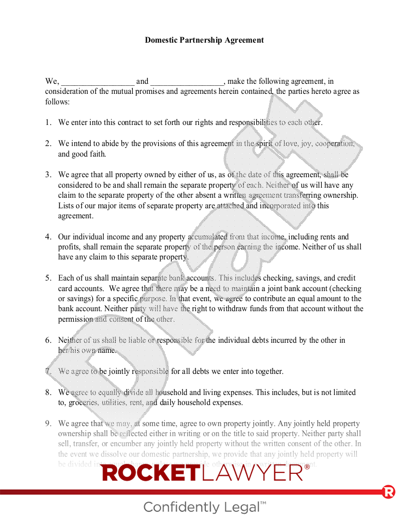 Domestic Partnership Agreement document preview