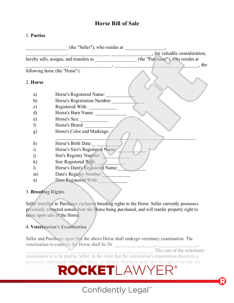 Horse Bill of Sale document preview