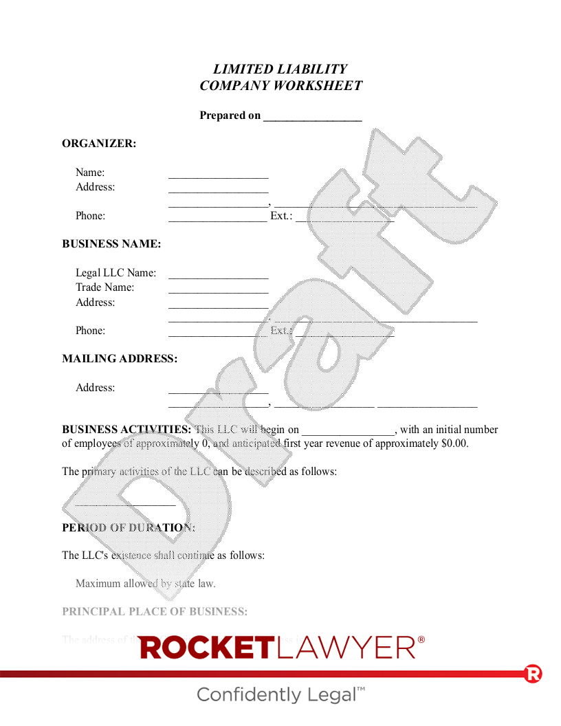 Limited Liability Company Worksheet document preview