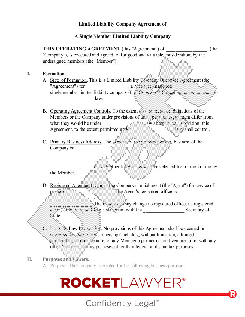 Single Member LLC Operating Agreement document preview