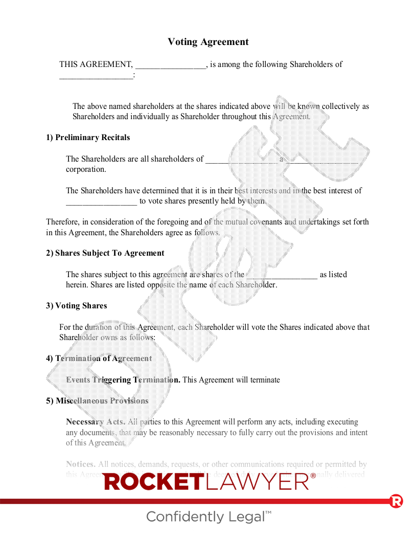 Voter Agreement document preview