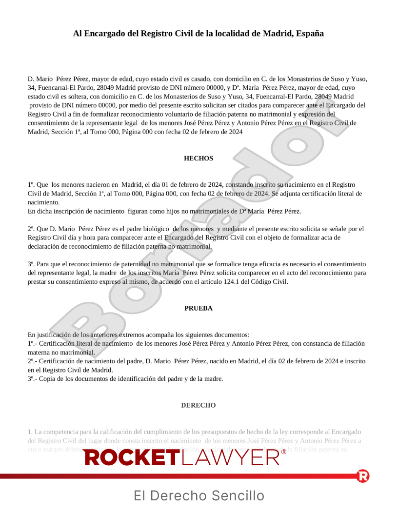 Solicitud de reconocimiento de filiación paterna no matrimonial Vista previa del documento