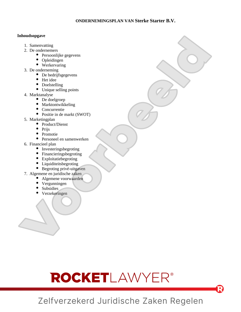 Ondernemingsplan voorbeeld document