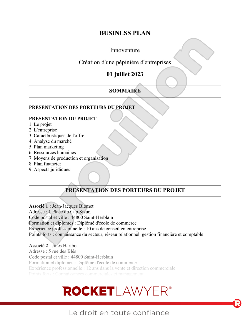 Business plan Aperçu du document