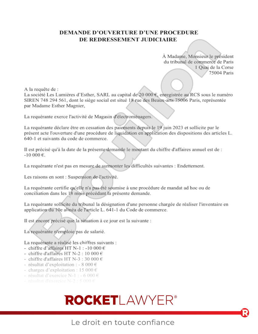 Demande d'Ouverture d'une Procédure de Liquidation Judiciaire Aperçu du document