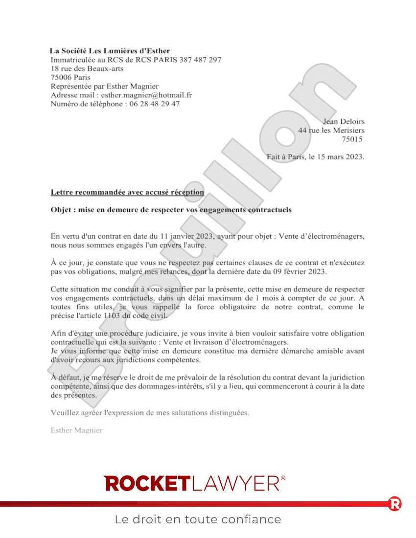 Mise en Demeure de Respecter un Contrat Professionnel Aperçu du document