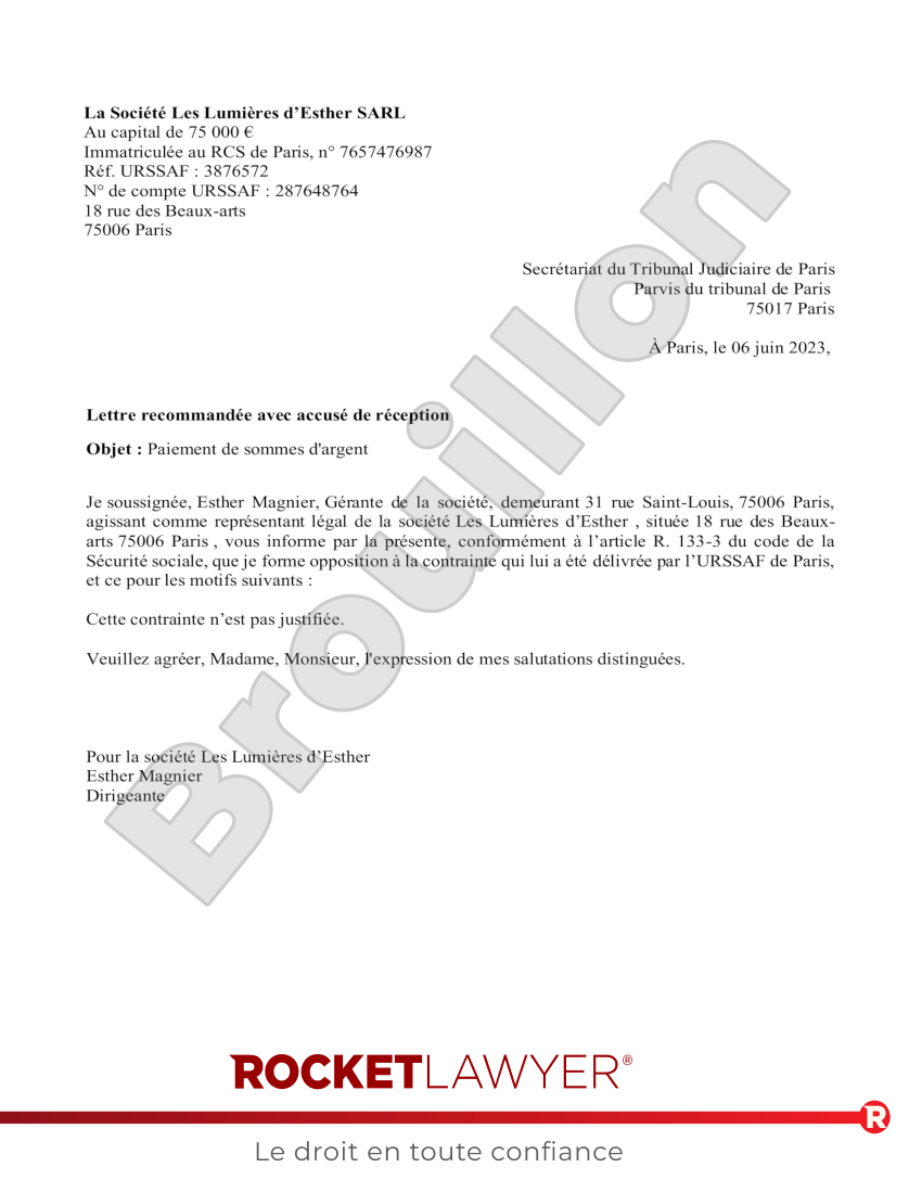 Opposition à Contrainte URSSAF Aperçu du document
