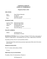 LLC-Op-Limited-Liability-Company-Worksheet-1